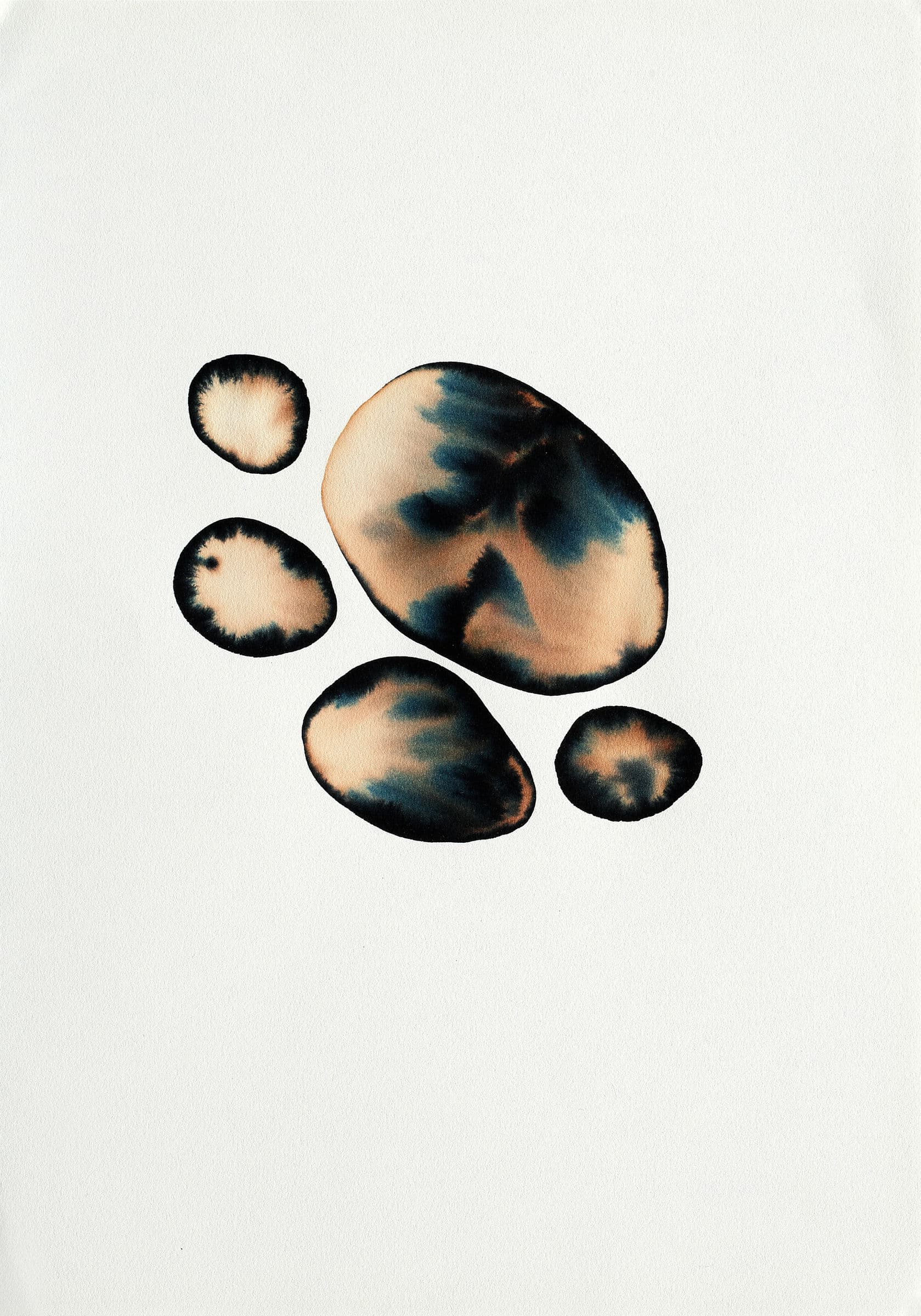 Artwork from D'eaux, de graines et de particules lumineuses