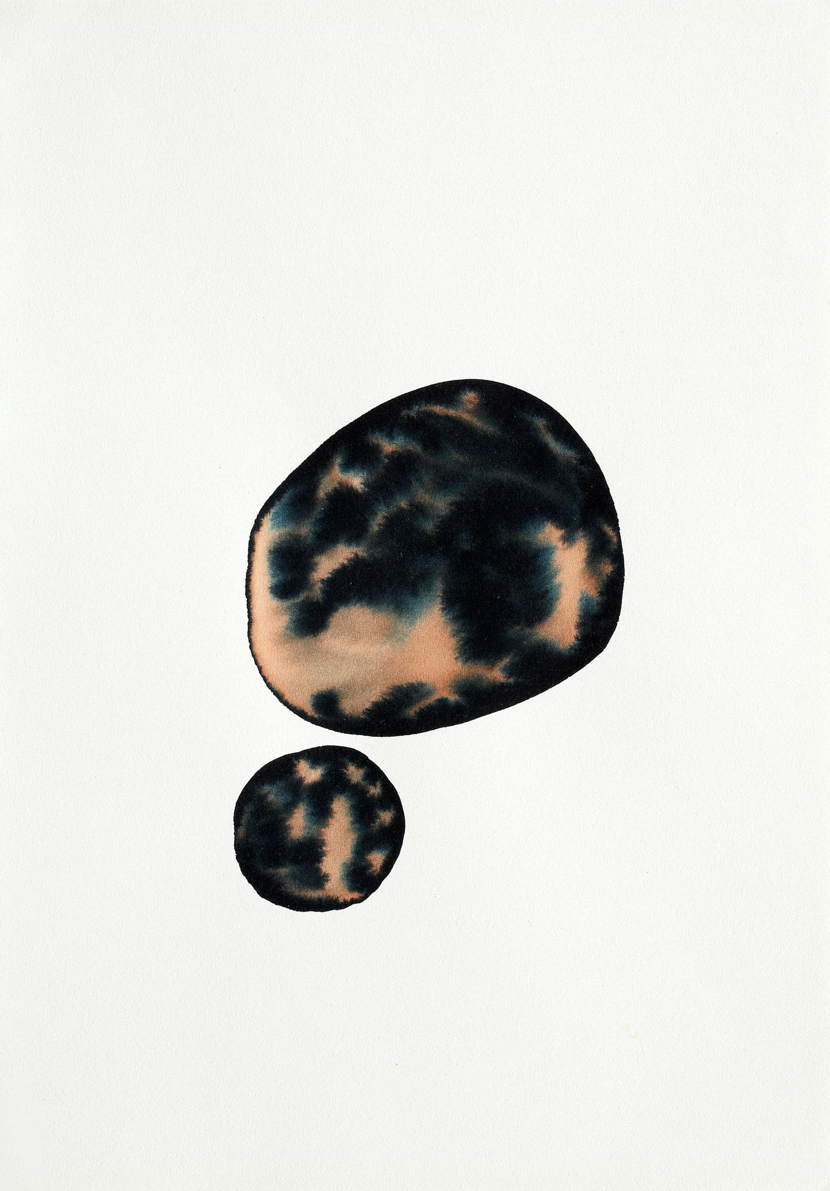 Artwork from D'eaux, de graines et de particules lumineuses