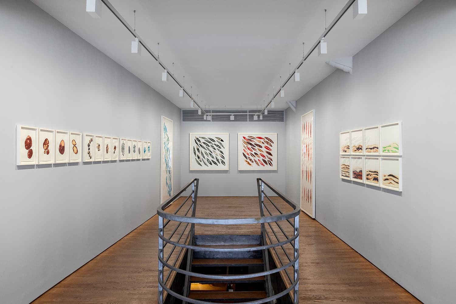 'D'Eaux, de Graines et de Particules Lumineuses' at Lilia Ben Salah, Paris